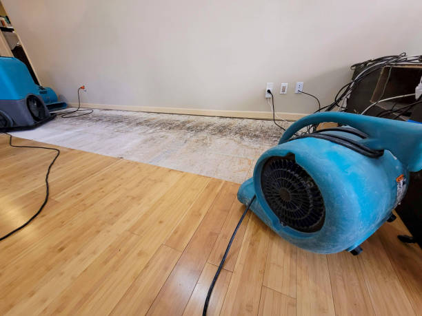 Professional Water Removal technician working in Nashotah, WI
